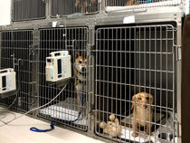 ベルジェ動物病院