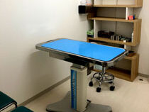 ベルジェ動物病院