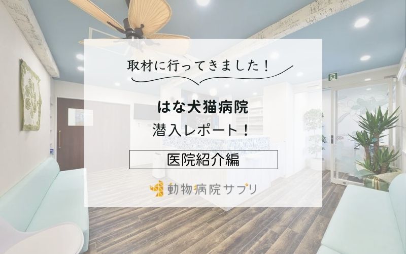 はな犬猫病院photo