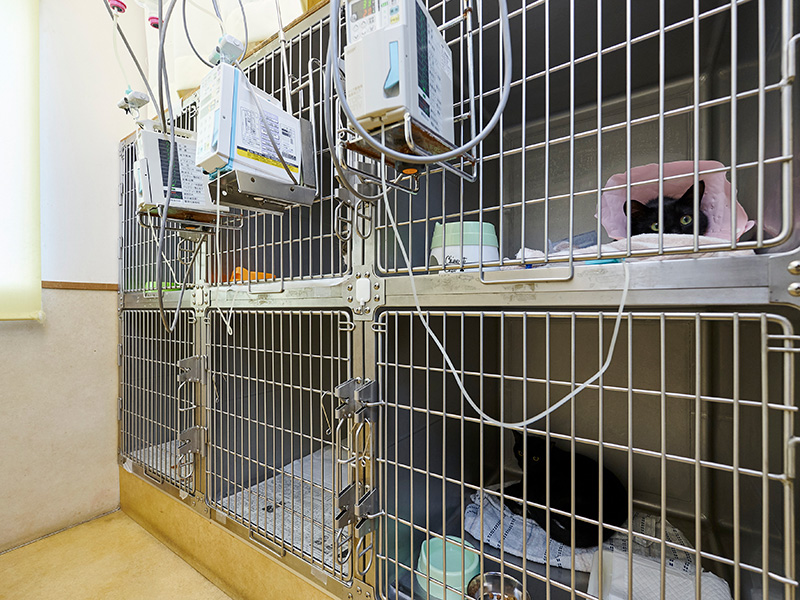 姫路動物病院photo