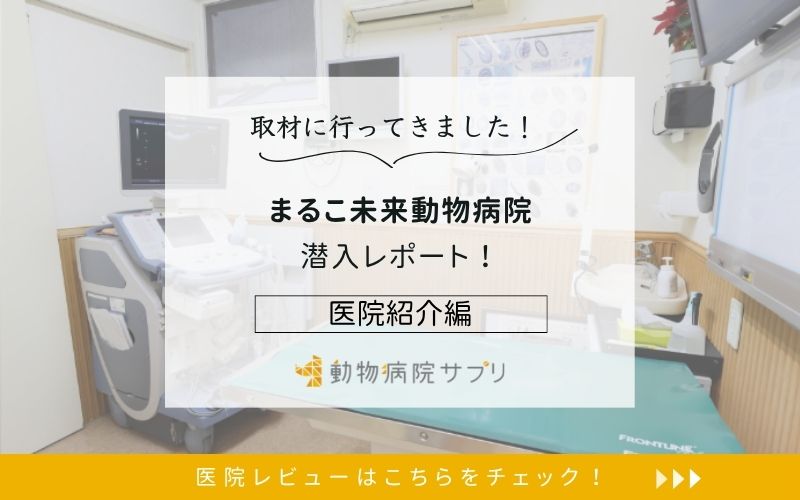 まるこ未来動物病院