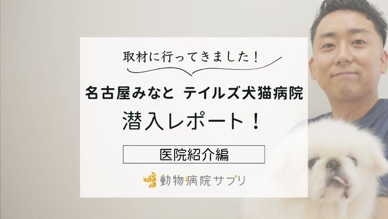 名古屋みなと テイルズ犬猫病院photo