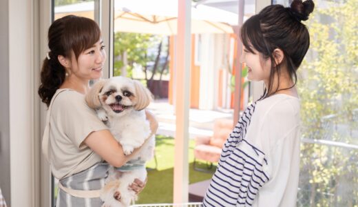 しつけ教室の犬の留守番トレーニングとは？問題行動の原因や自宅での対策も解説