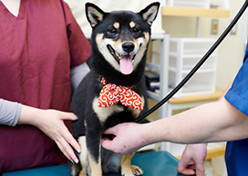 姫路動物病院photo