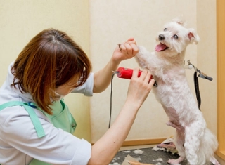 姫路動物病院photo