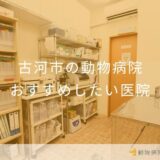 【2026年】古河市の動物病院 おすすめしたい6医院