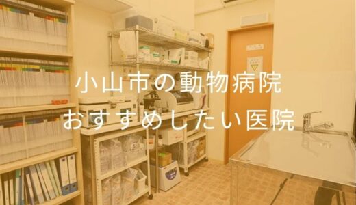 【2026年】小山市の動物病院 おすすめしたい5医院