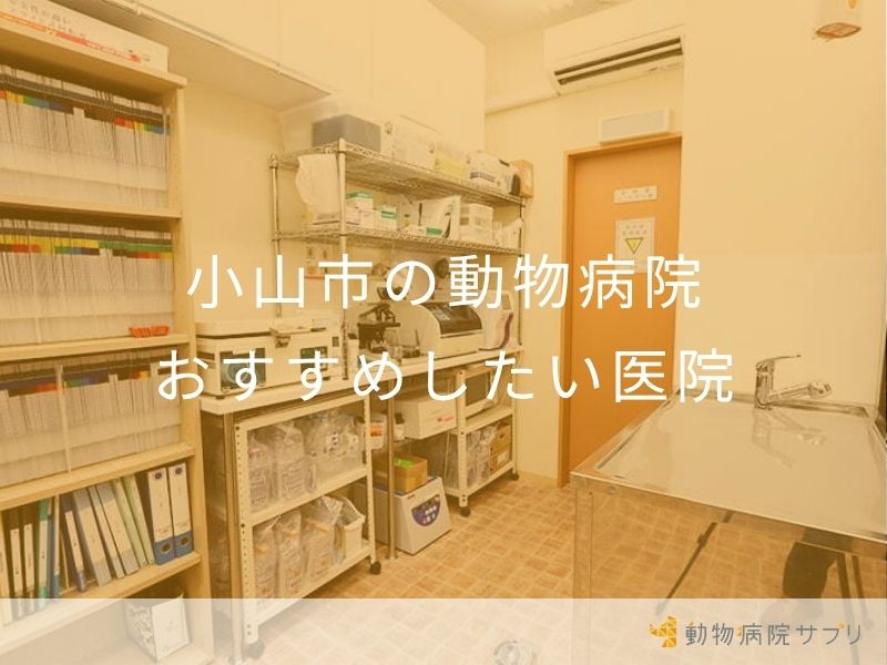 小山市の動物病院おすすめしたい医院