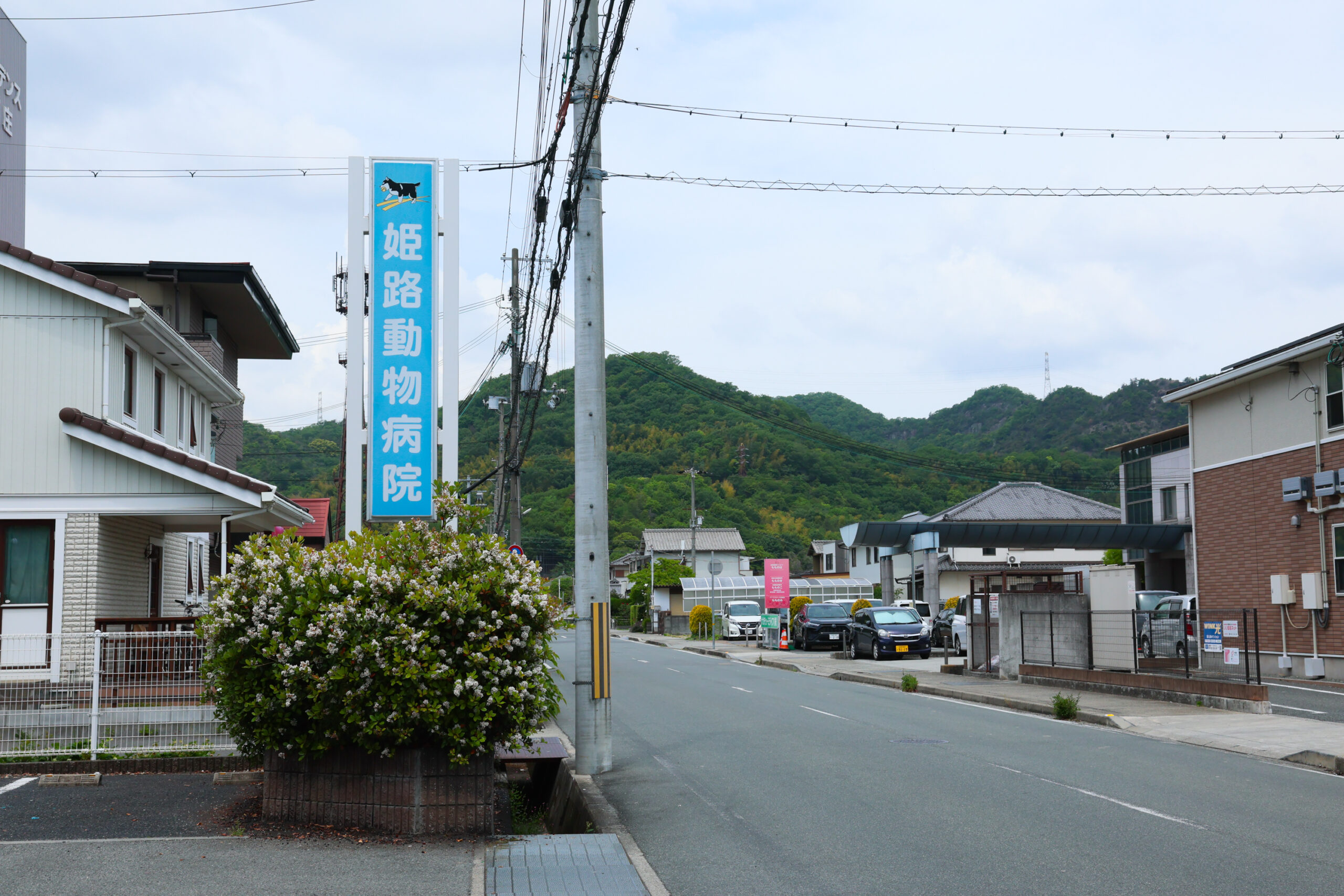 姫路動物病院photo
