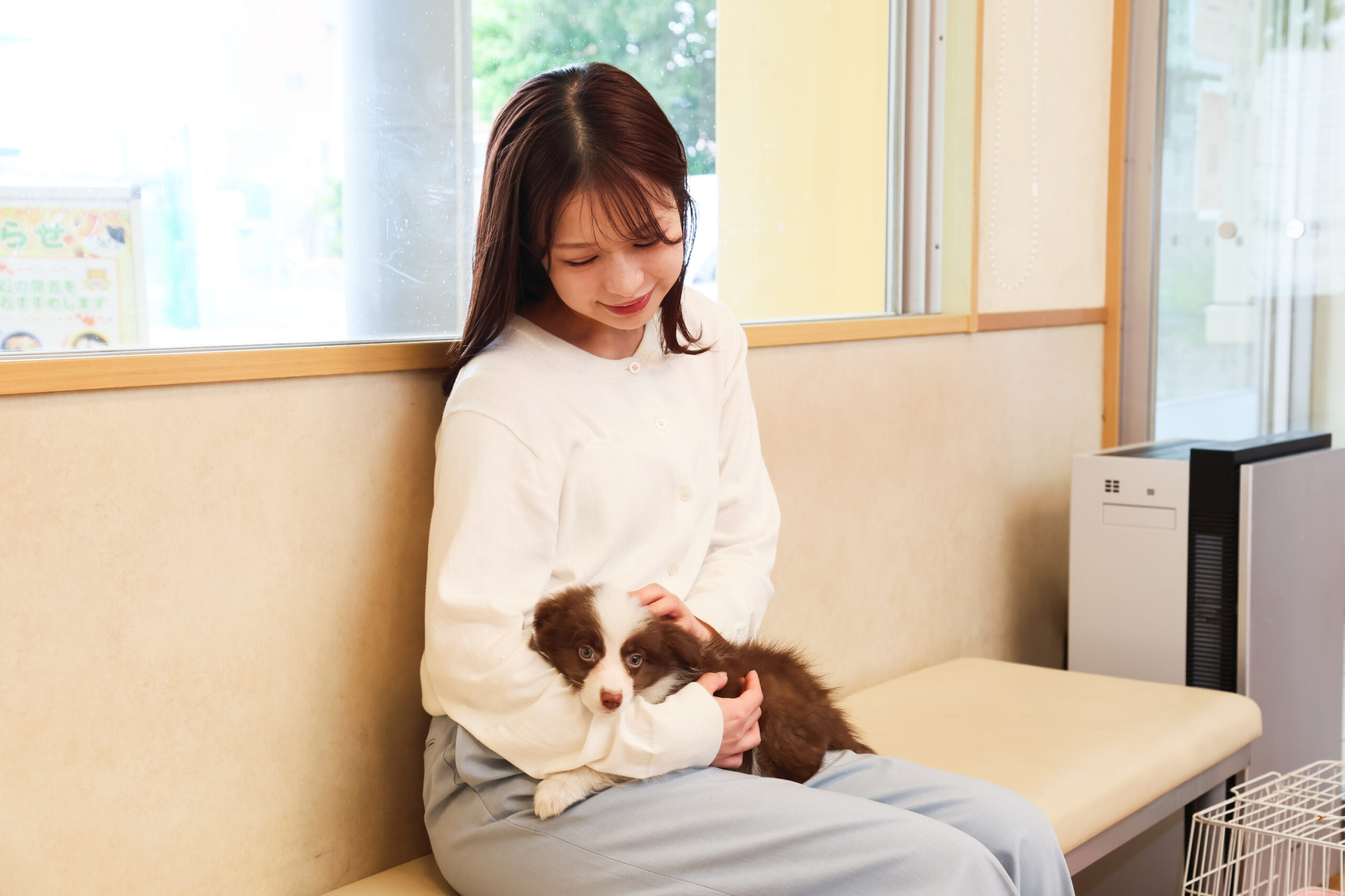 姫路動物病院photo