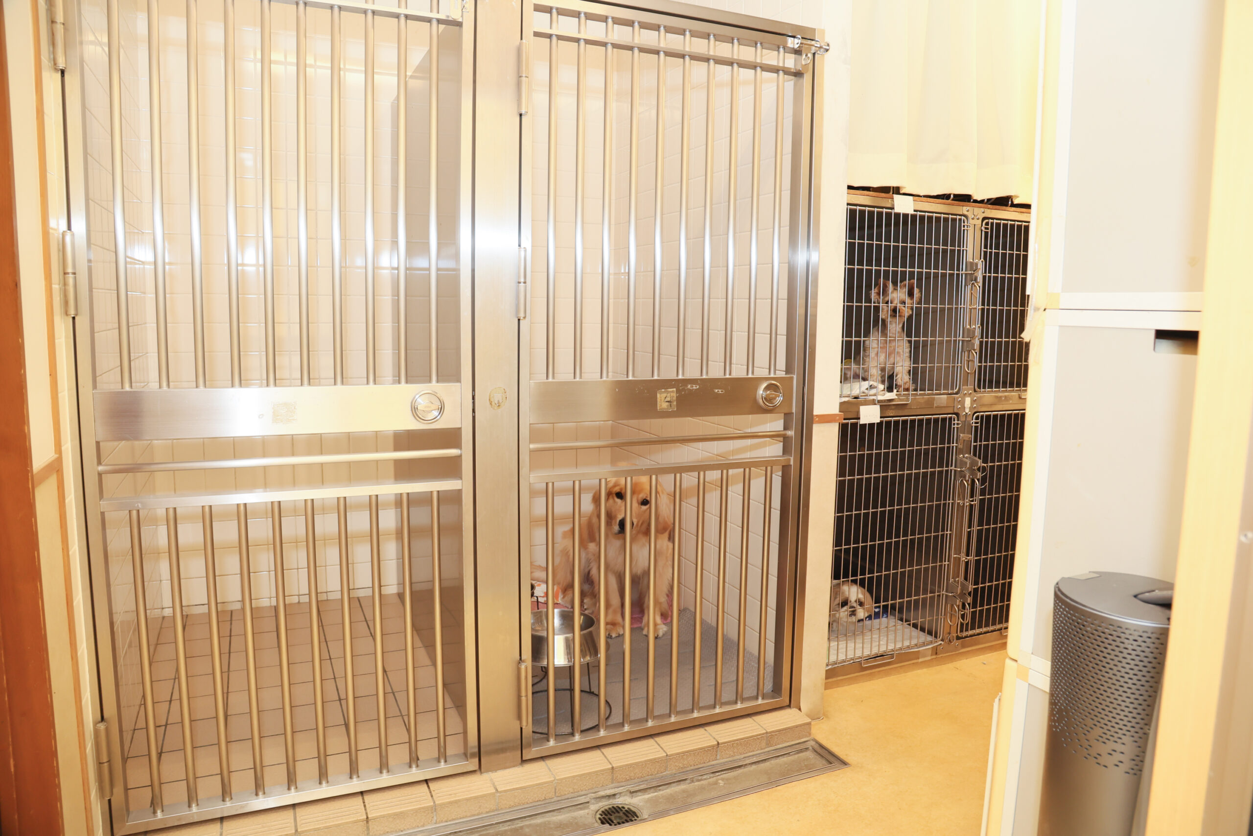 姫路動物病院photo