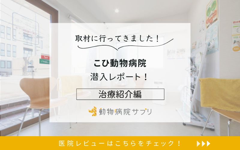 こひ動物病院