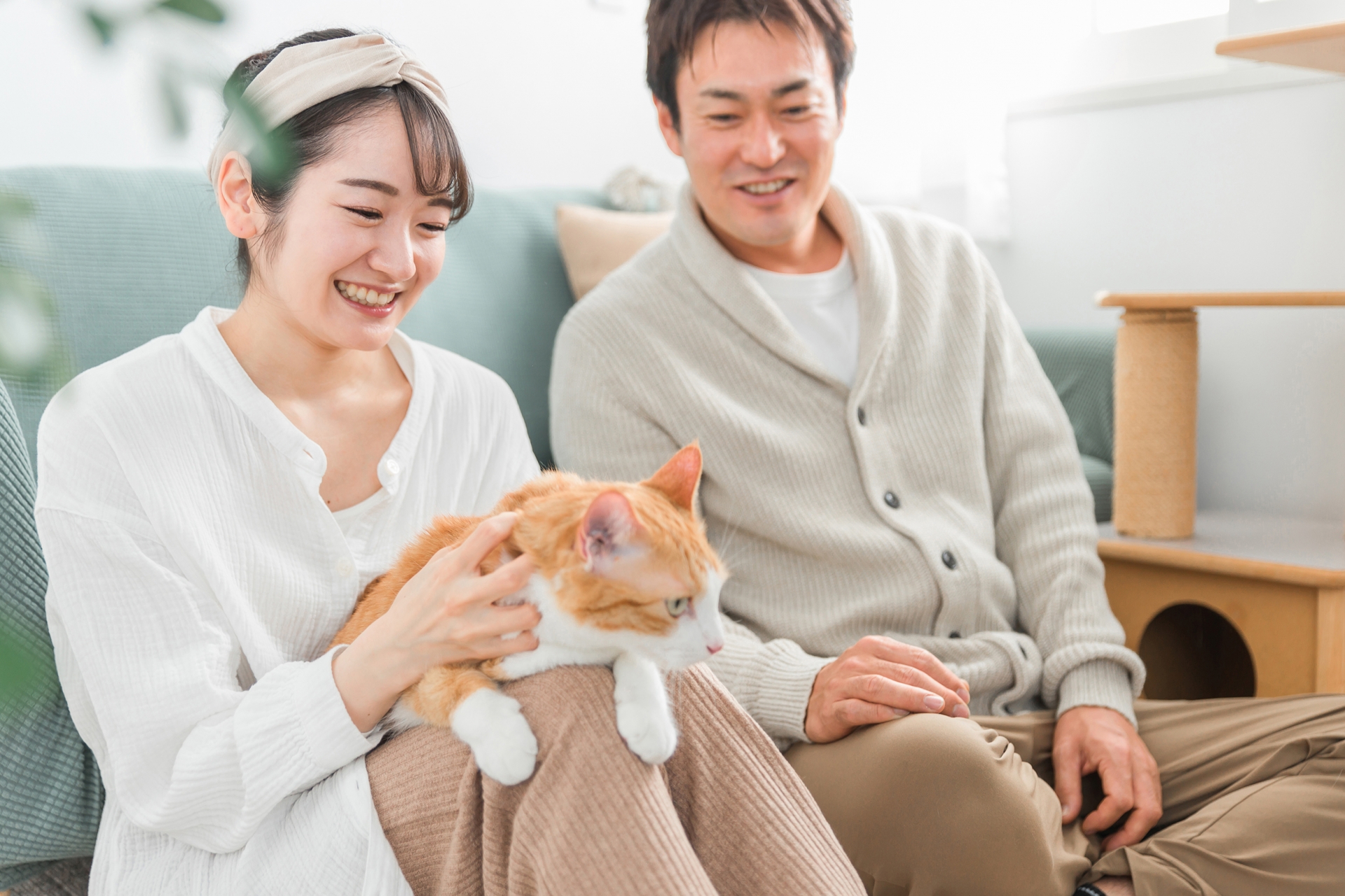 ペットの猫を撫でるカップル・夫婦