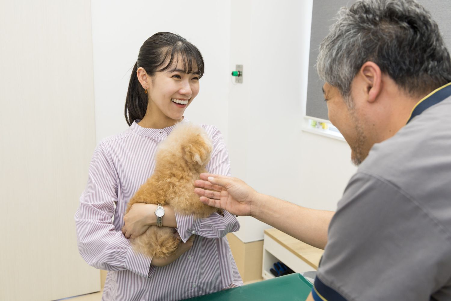 こひ動物病院photo