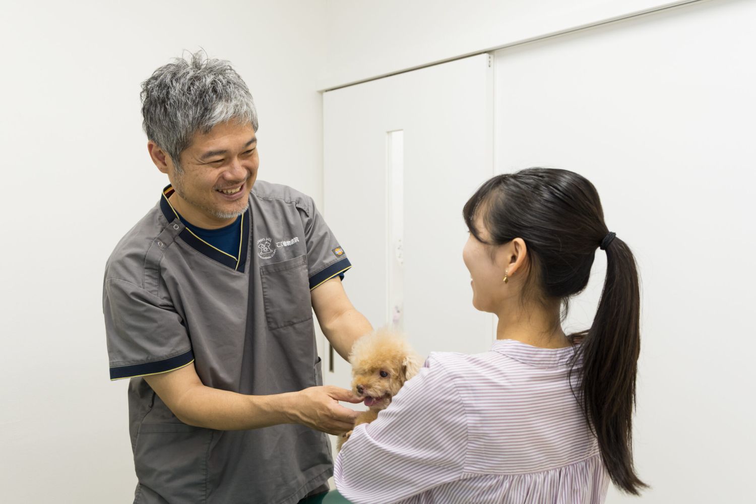 こひ動物病院photo