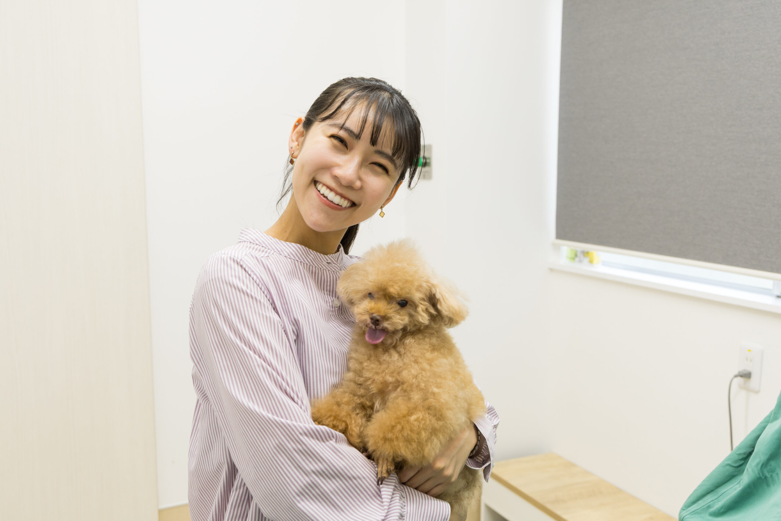 こひ動物病院photo