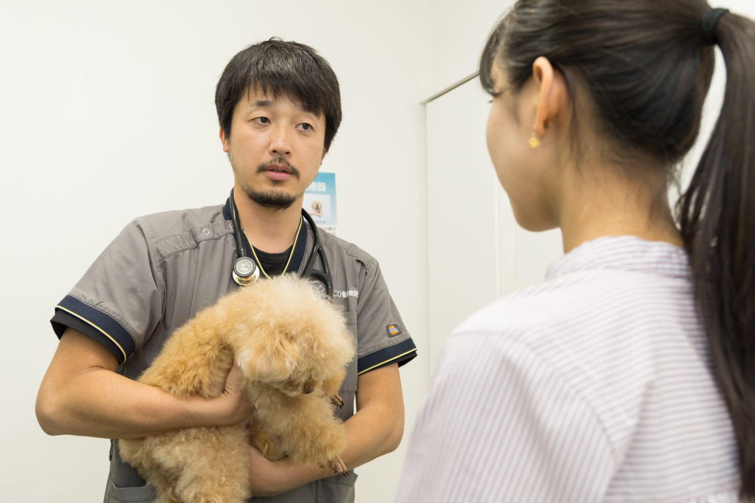 こひ動物病院photo
