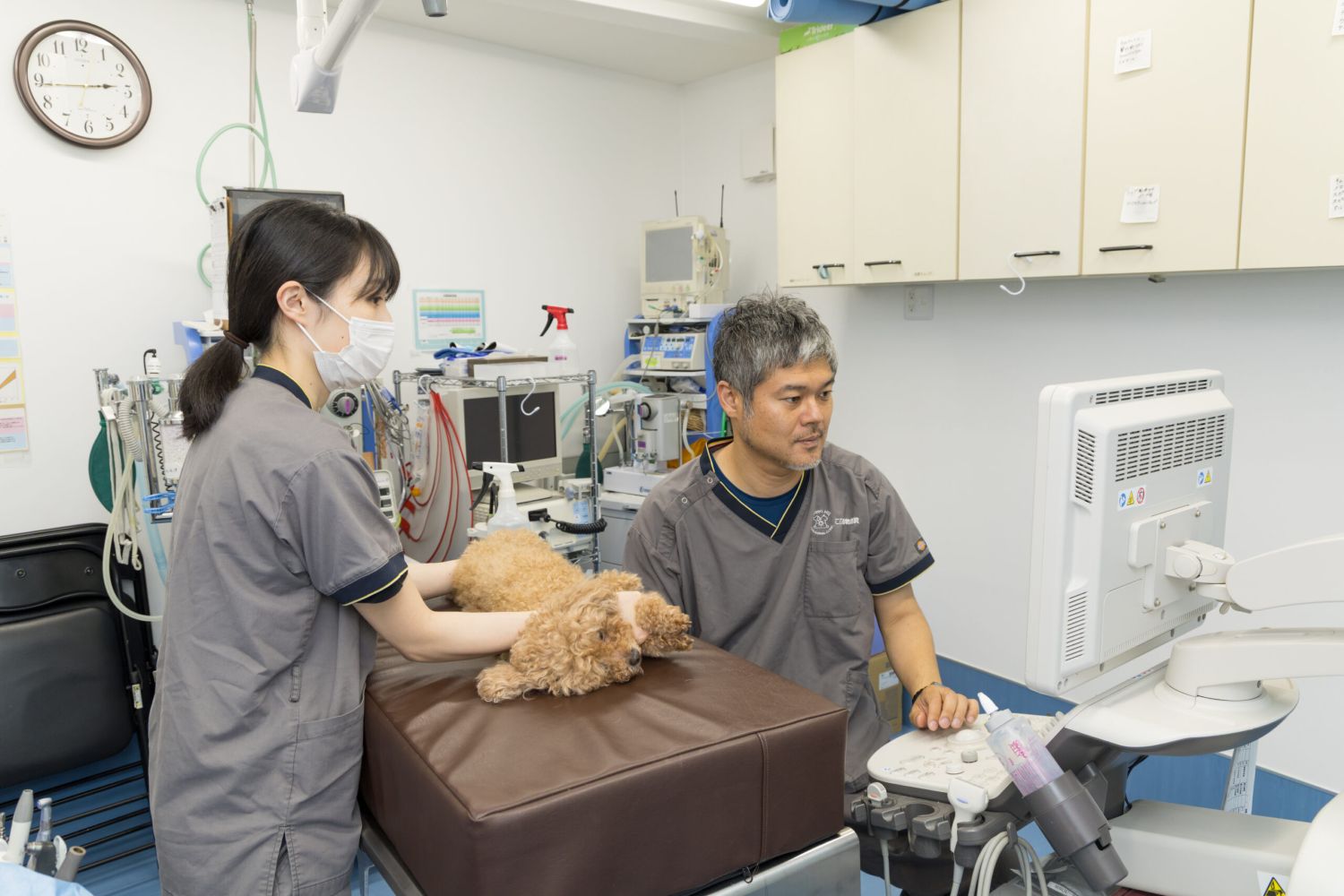 こひ動物病院photo