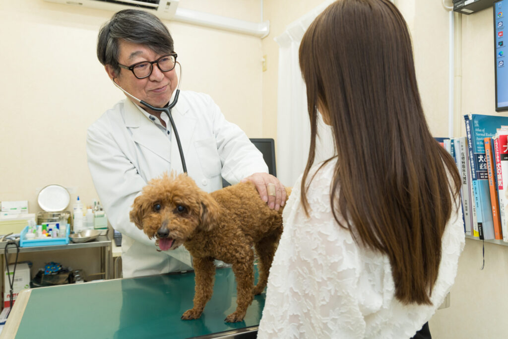 三ツ池動物病院
