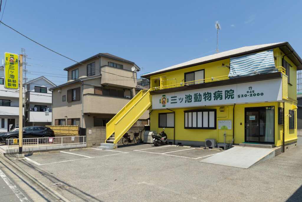 三ツ池動物病院