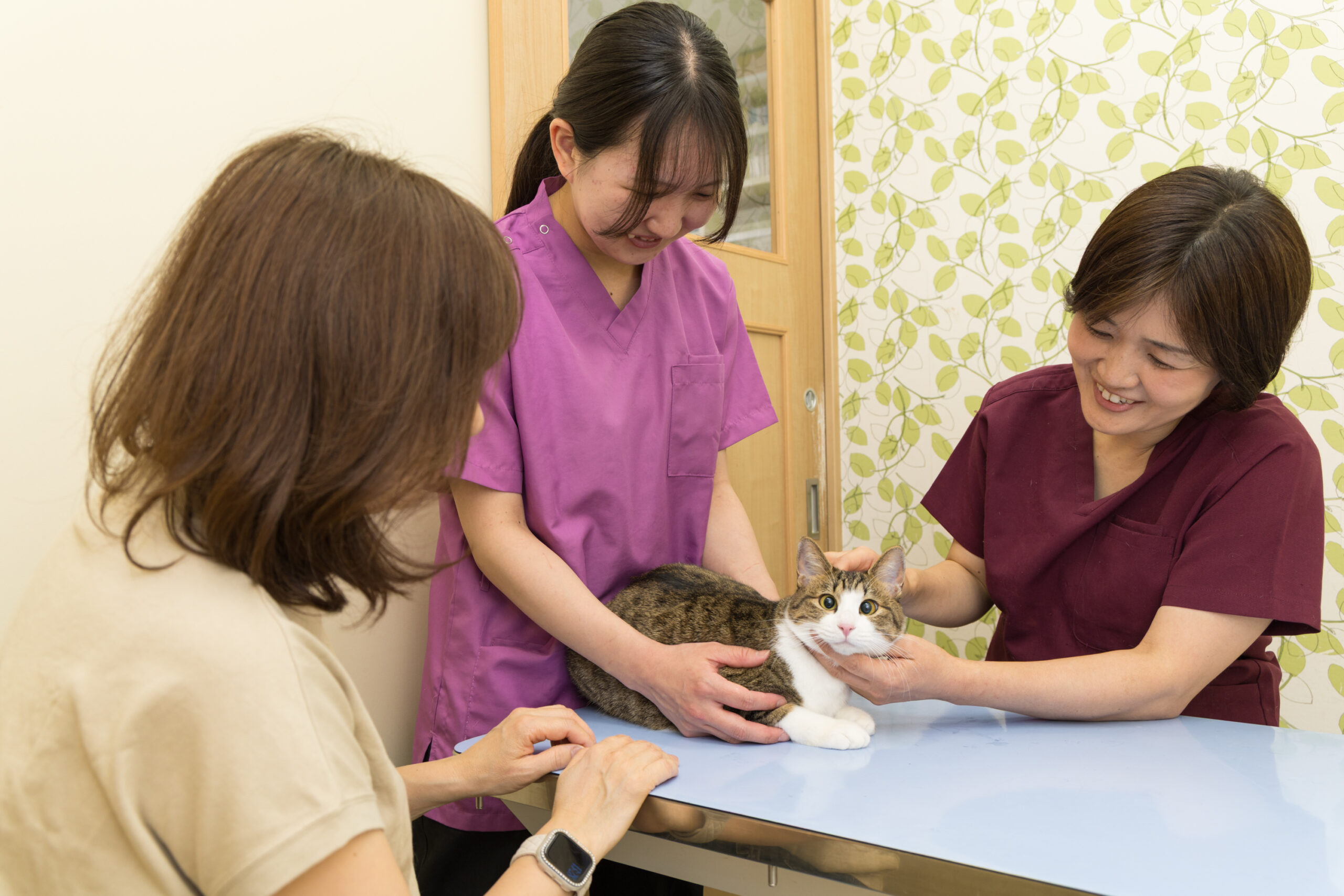 なないろ動物病院photo