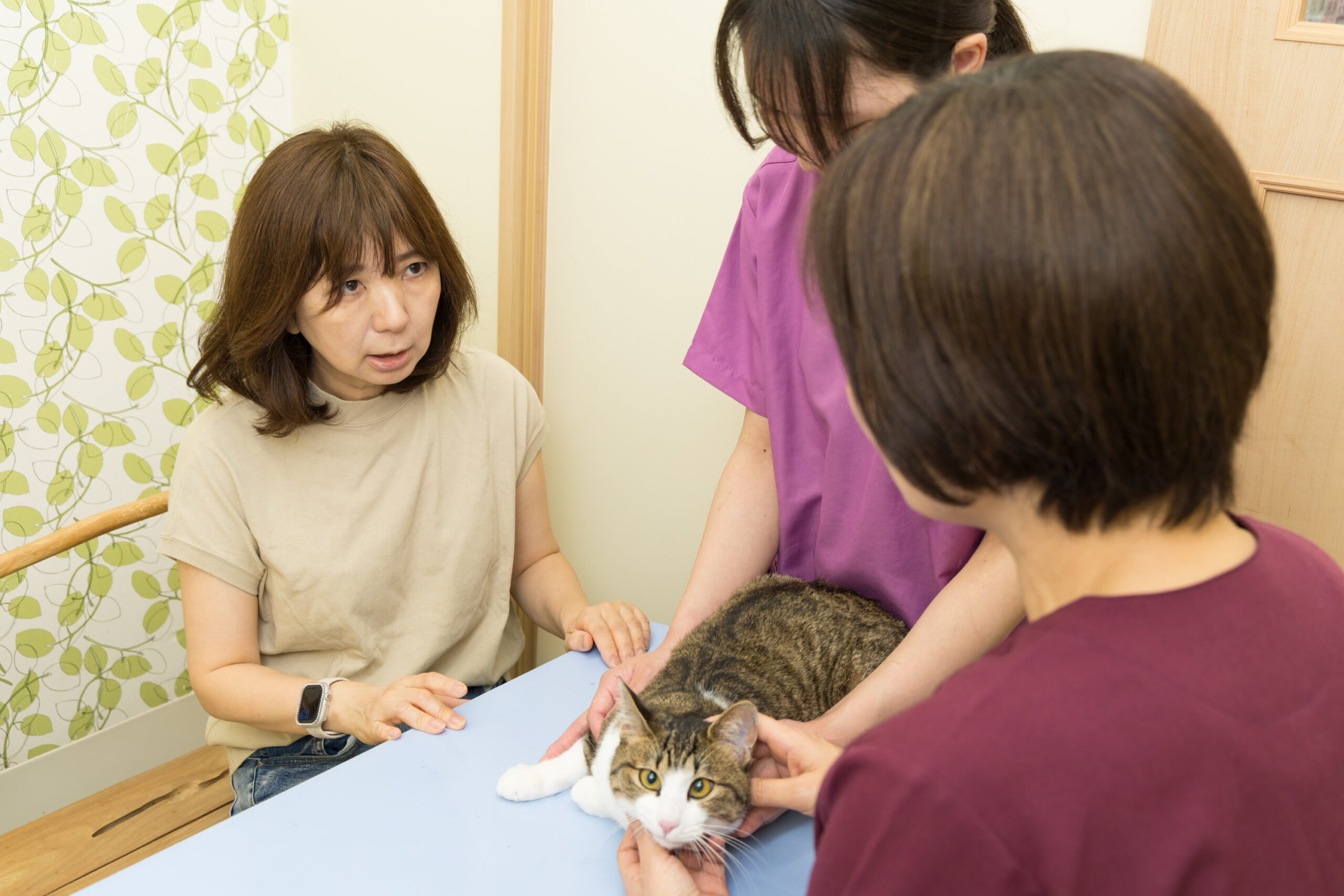なないろ動物病院photo