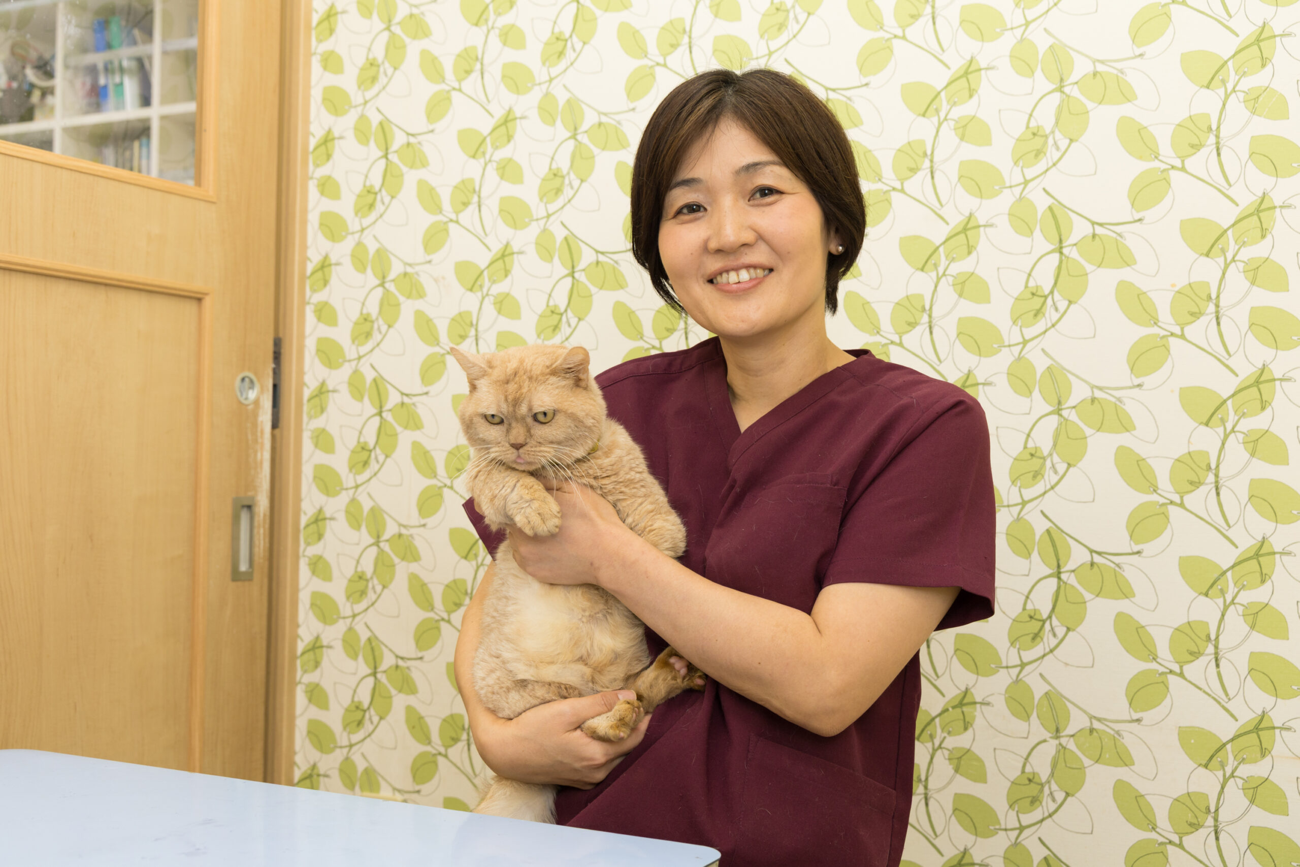なないろ動物病院photo