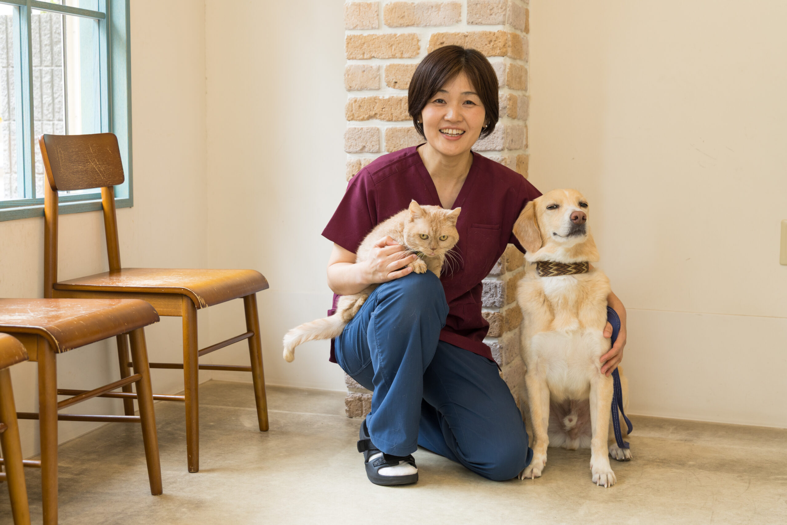 なないろ動物病院photo