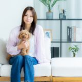 犬が病気のときトリミングしていい？避けるべき症状や代替ケアのポイントを解説