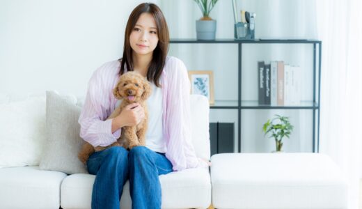 犬が病気のときトリミングしていい？避けるべき症状や代替ケアのポイントを解説