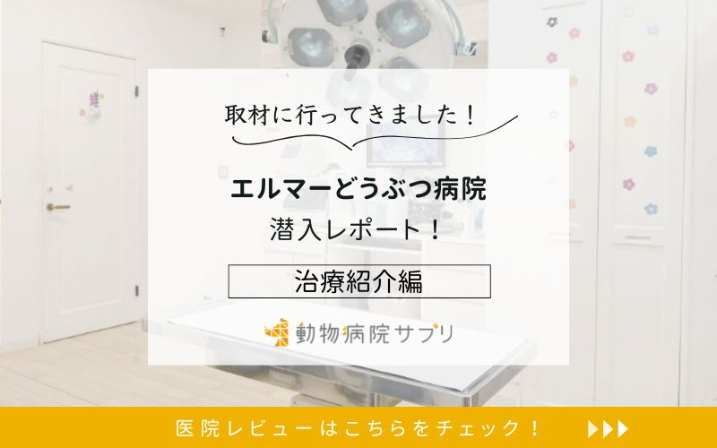 エルマーどうぶつ病院