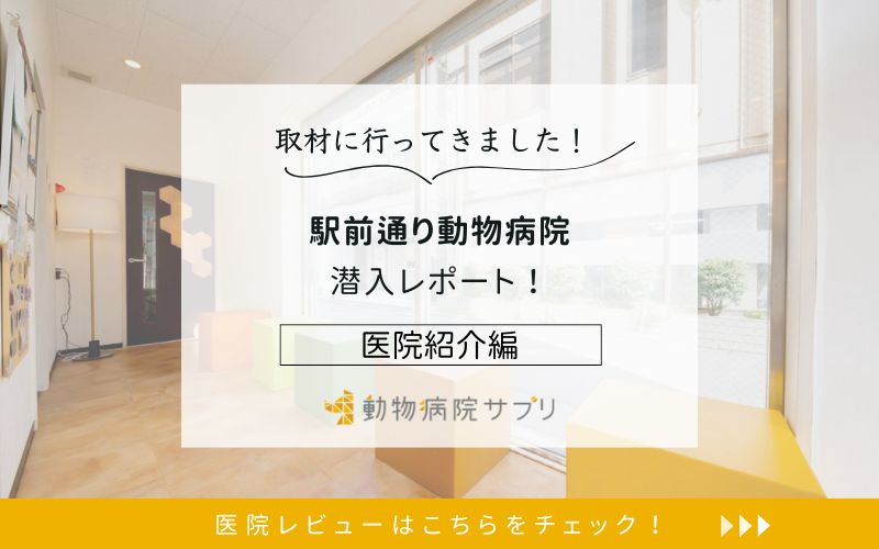 駅前通り動物病院