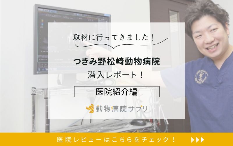つきみ野松崎動物病院