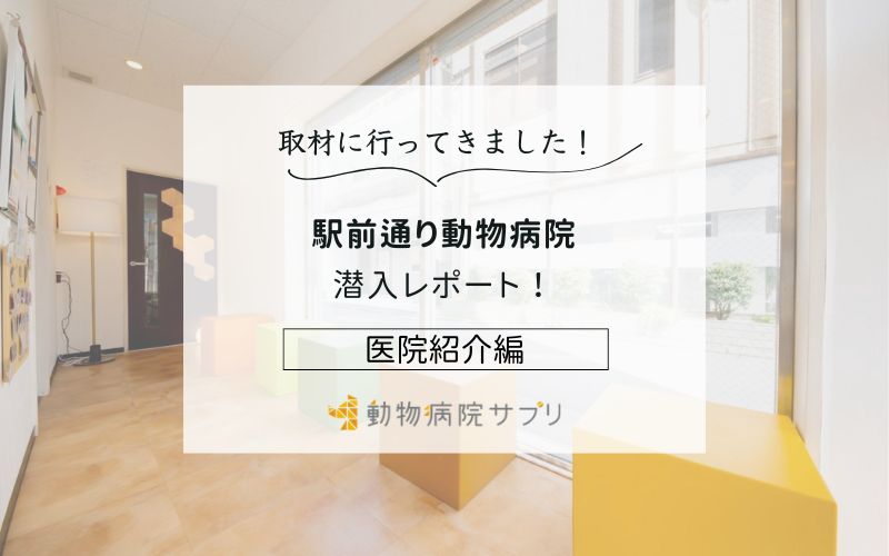 駅前通り動物病院photo