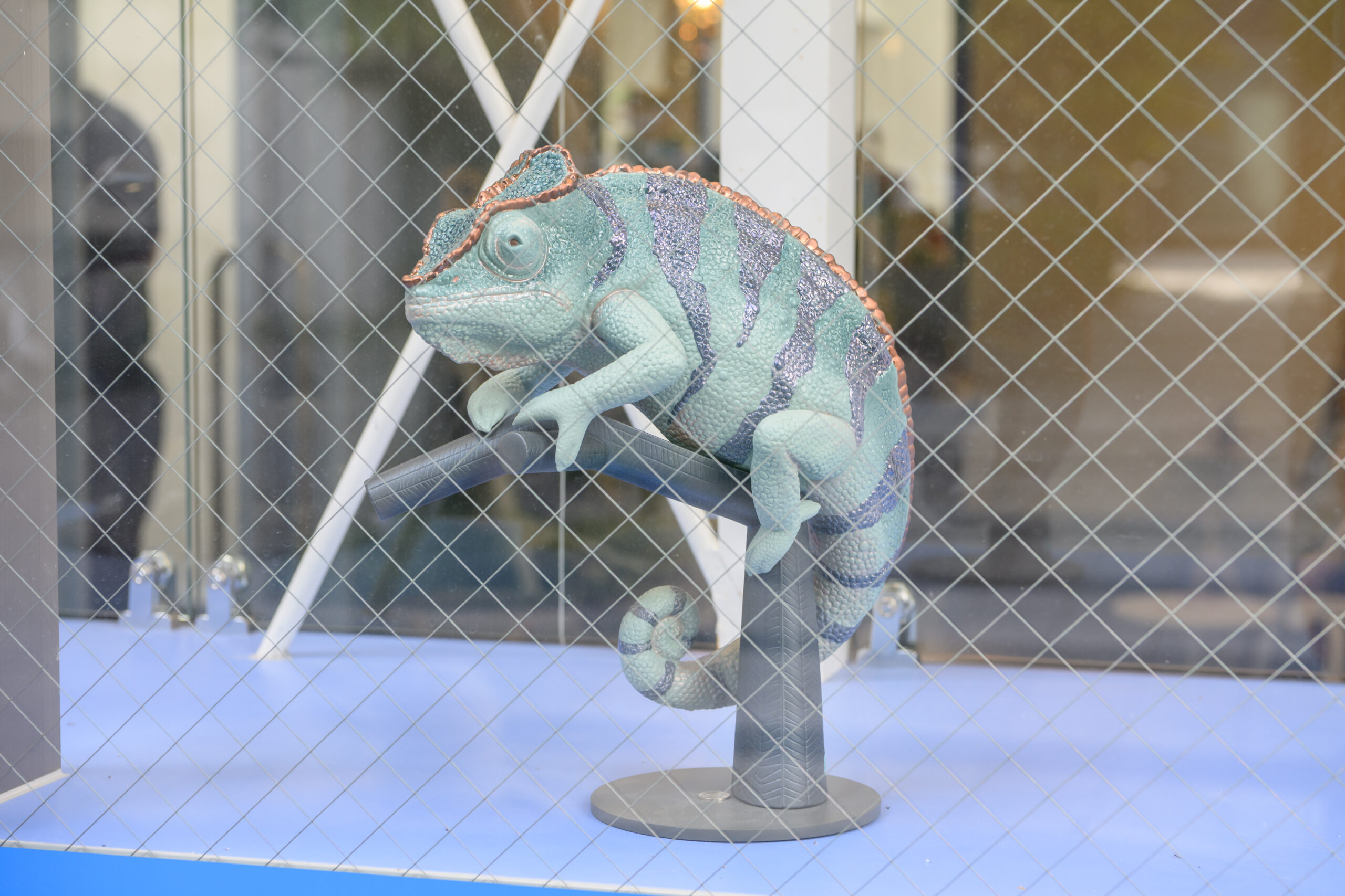 セレーネペットクリニックphoto