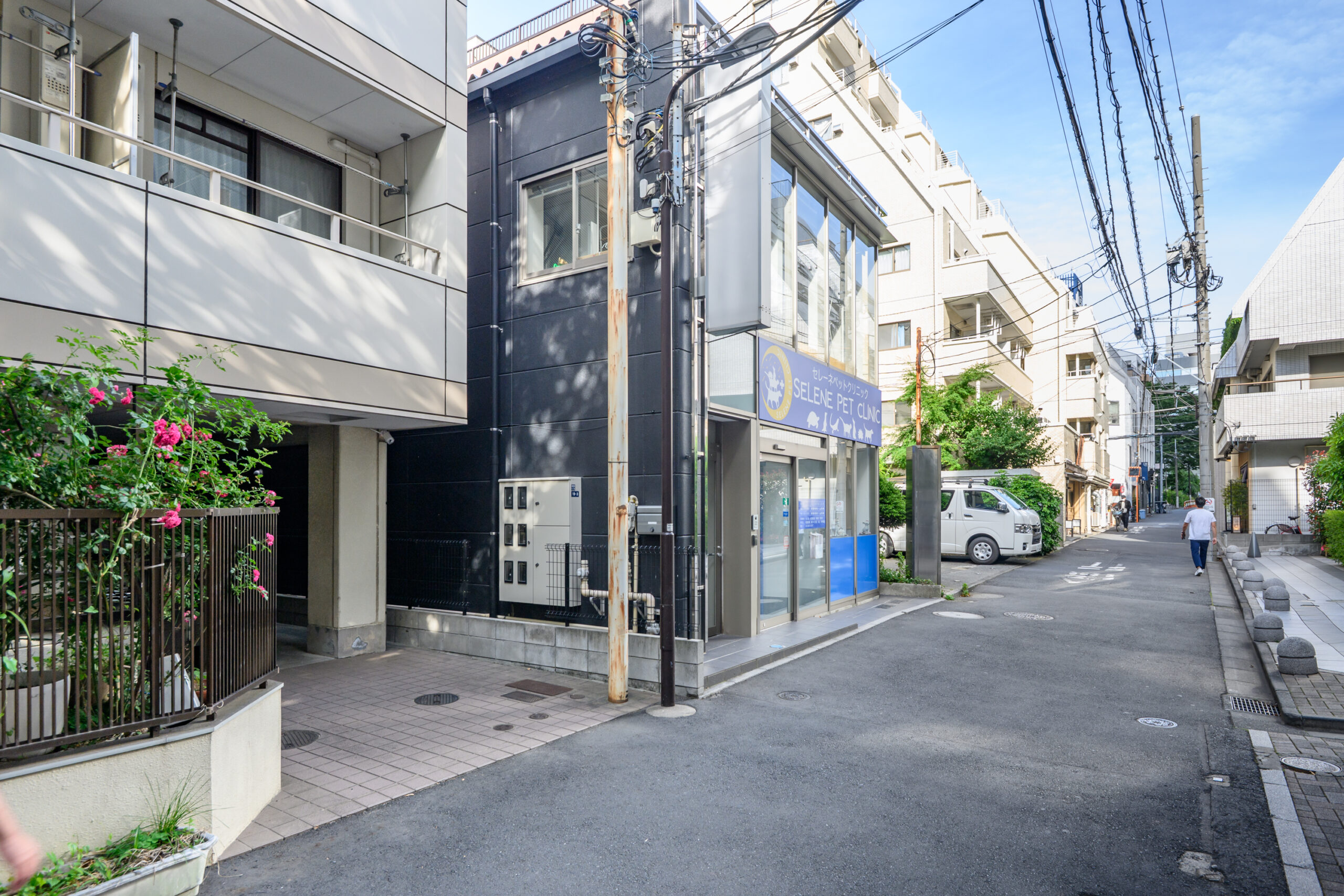 セレーネペットクリニックphoto
