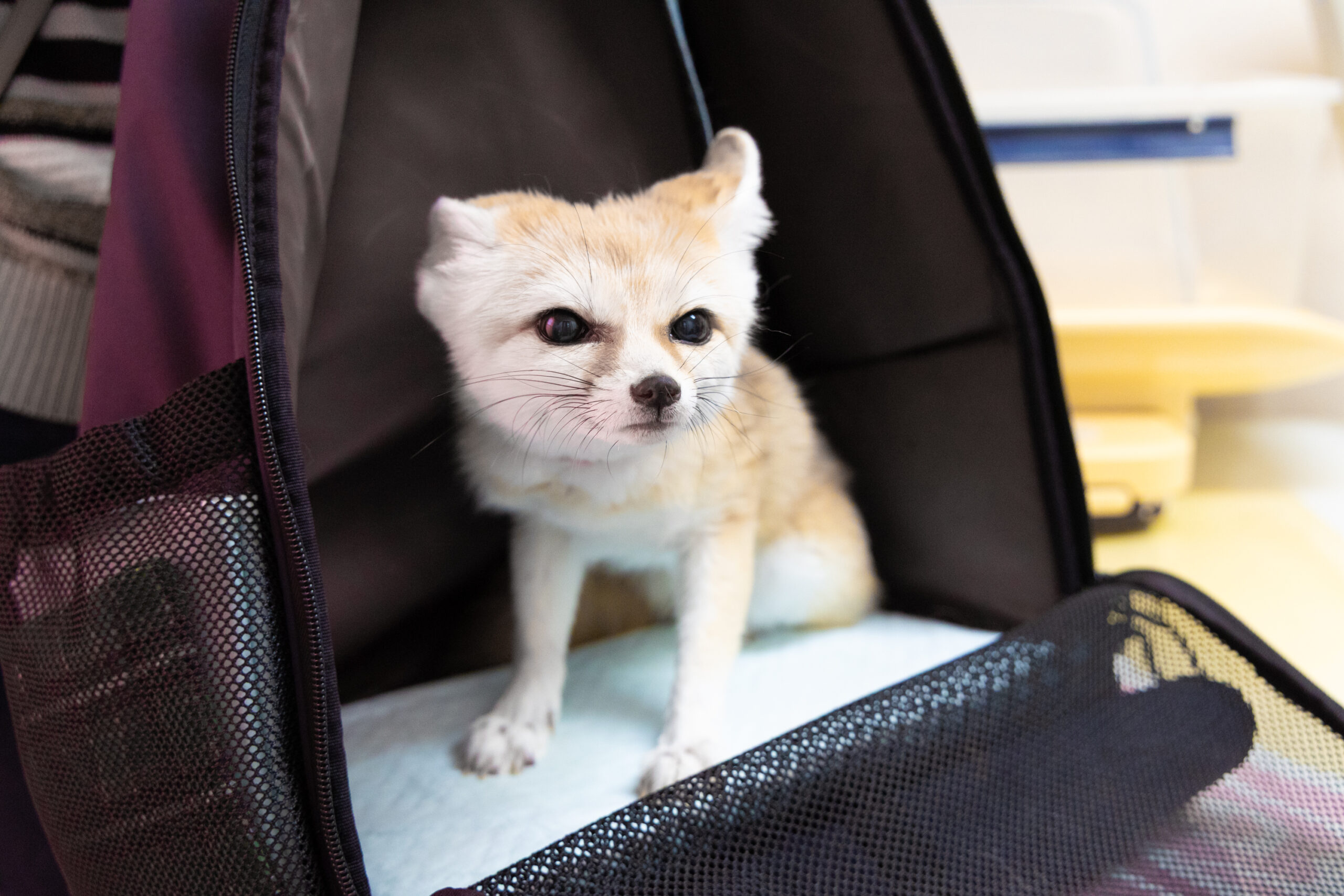 アーリン動物病院photo