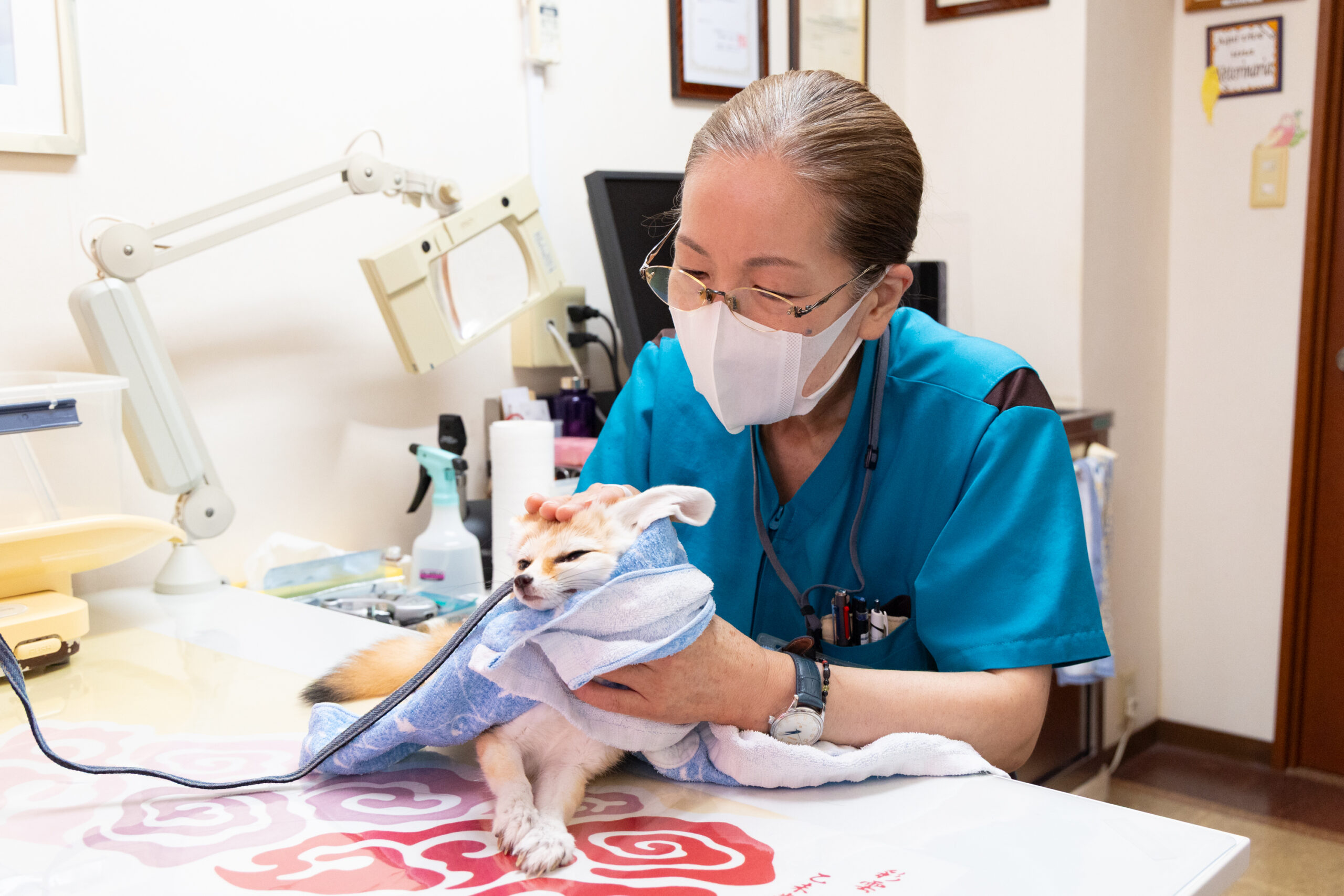 アーリン動物病院photo