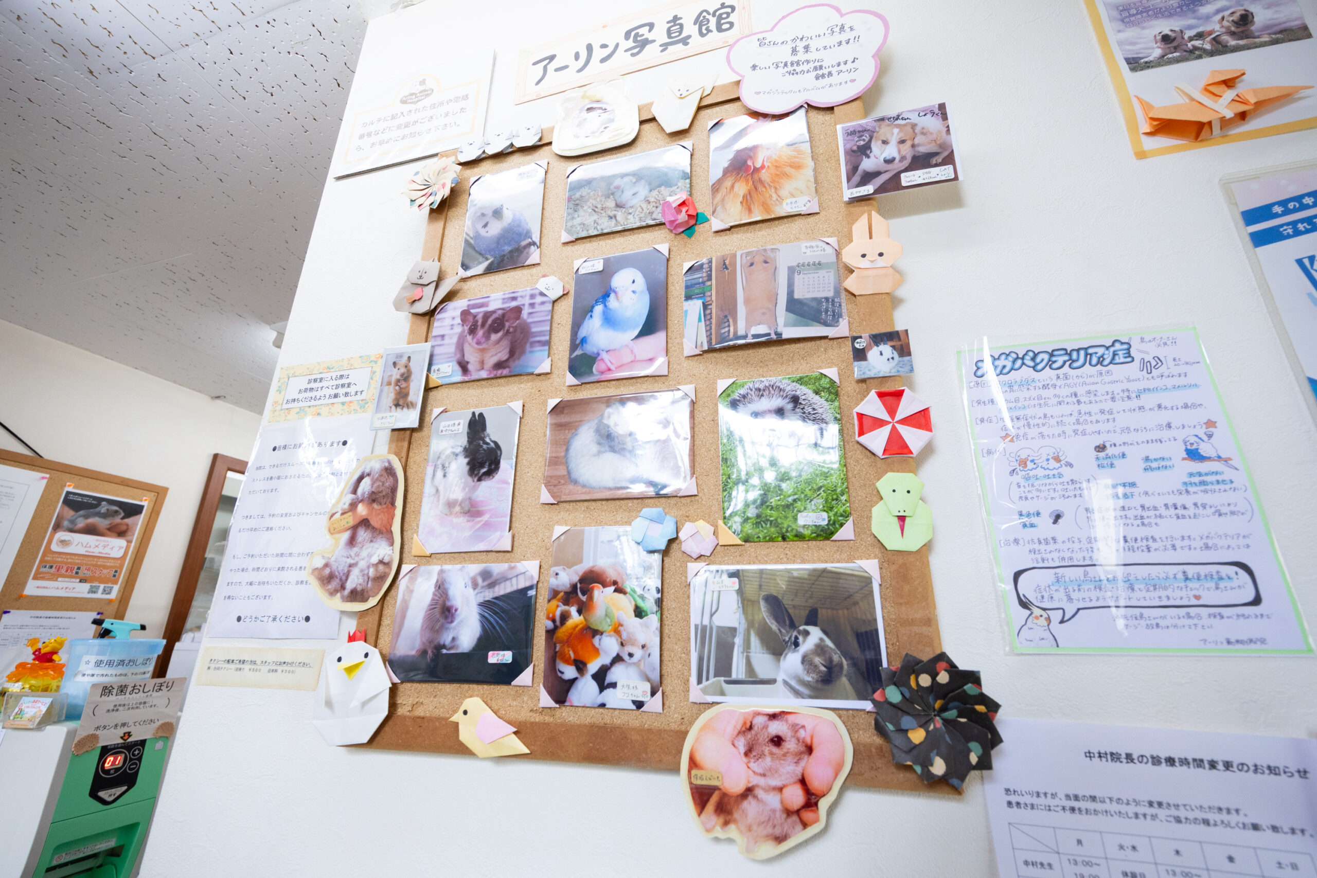 アーリン動物病院photo