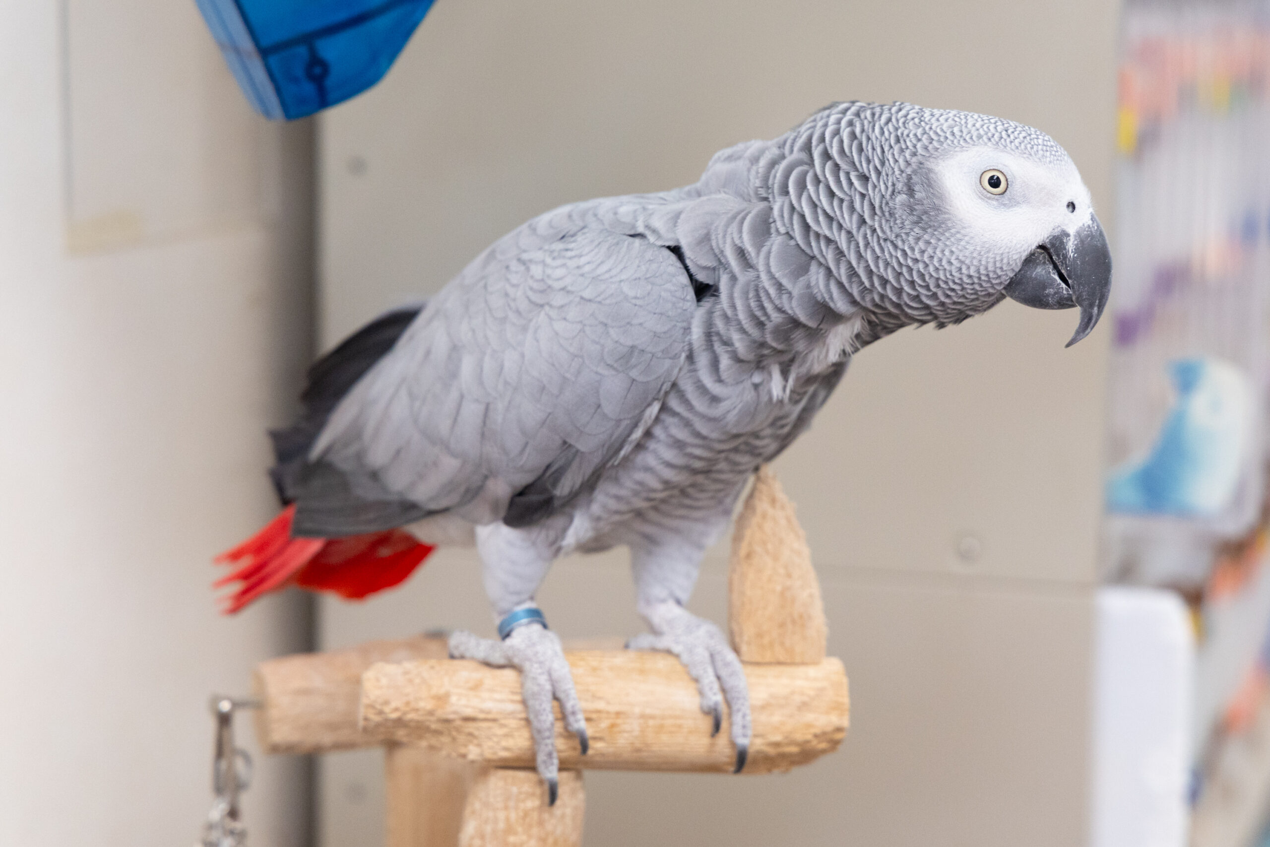 アーリン動物病院photo