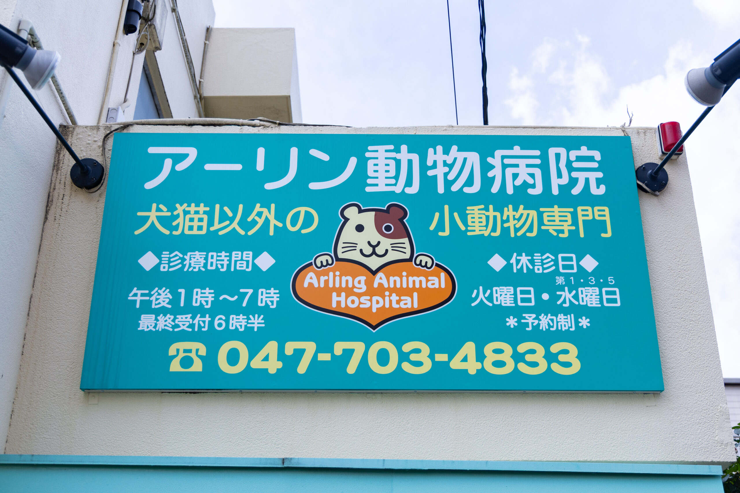 アーリン動物病院photo