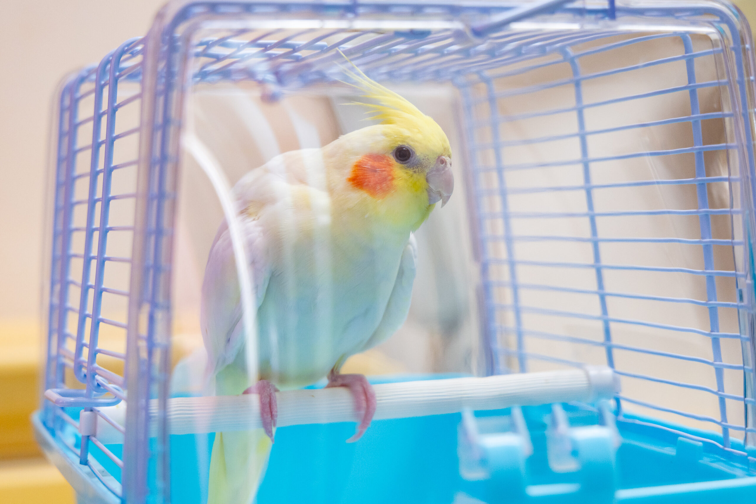アーリン動物病院photo