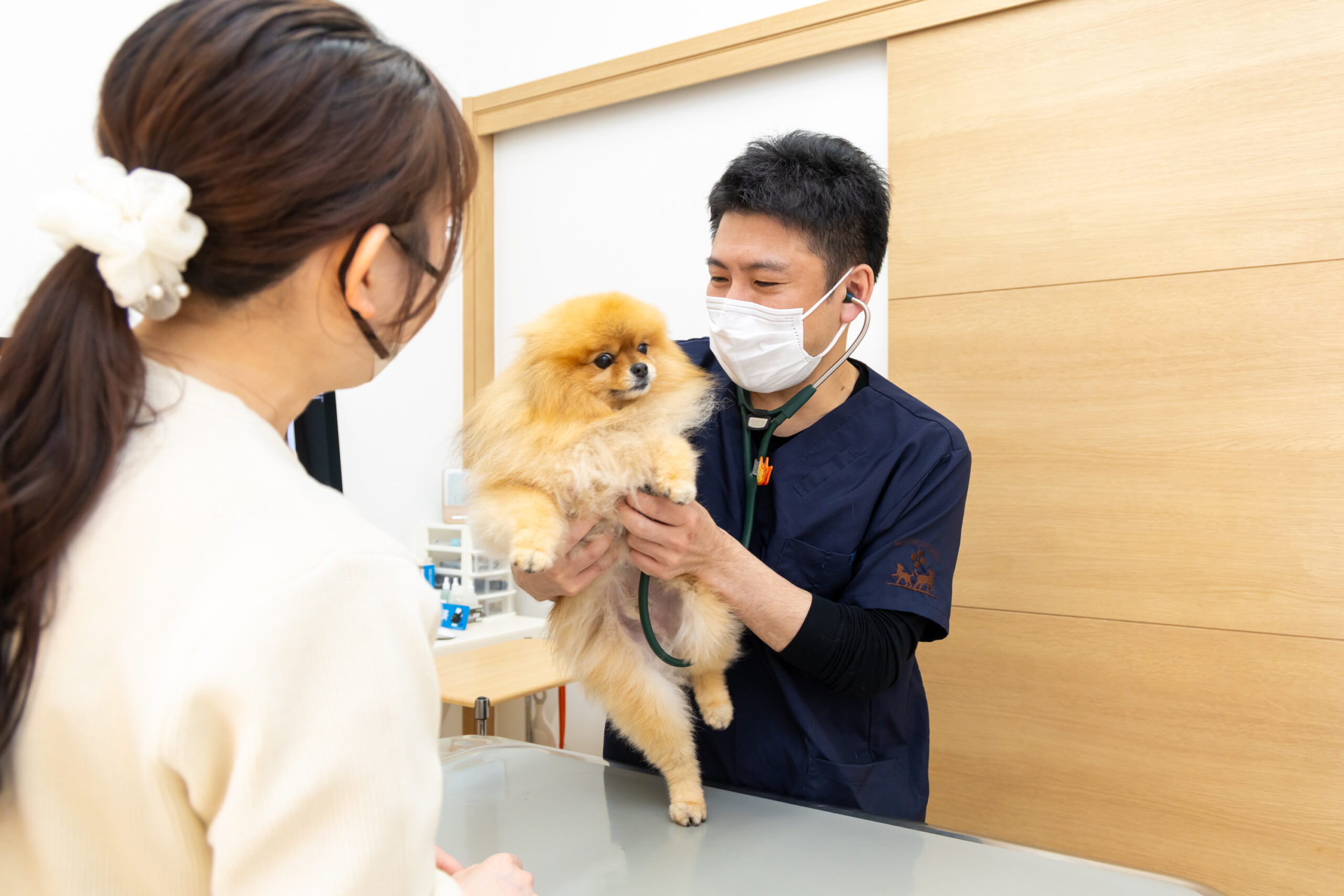 ノルド動物病院photo