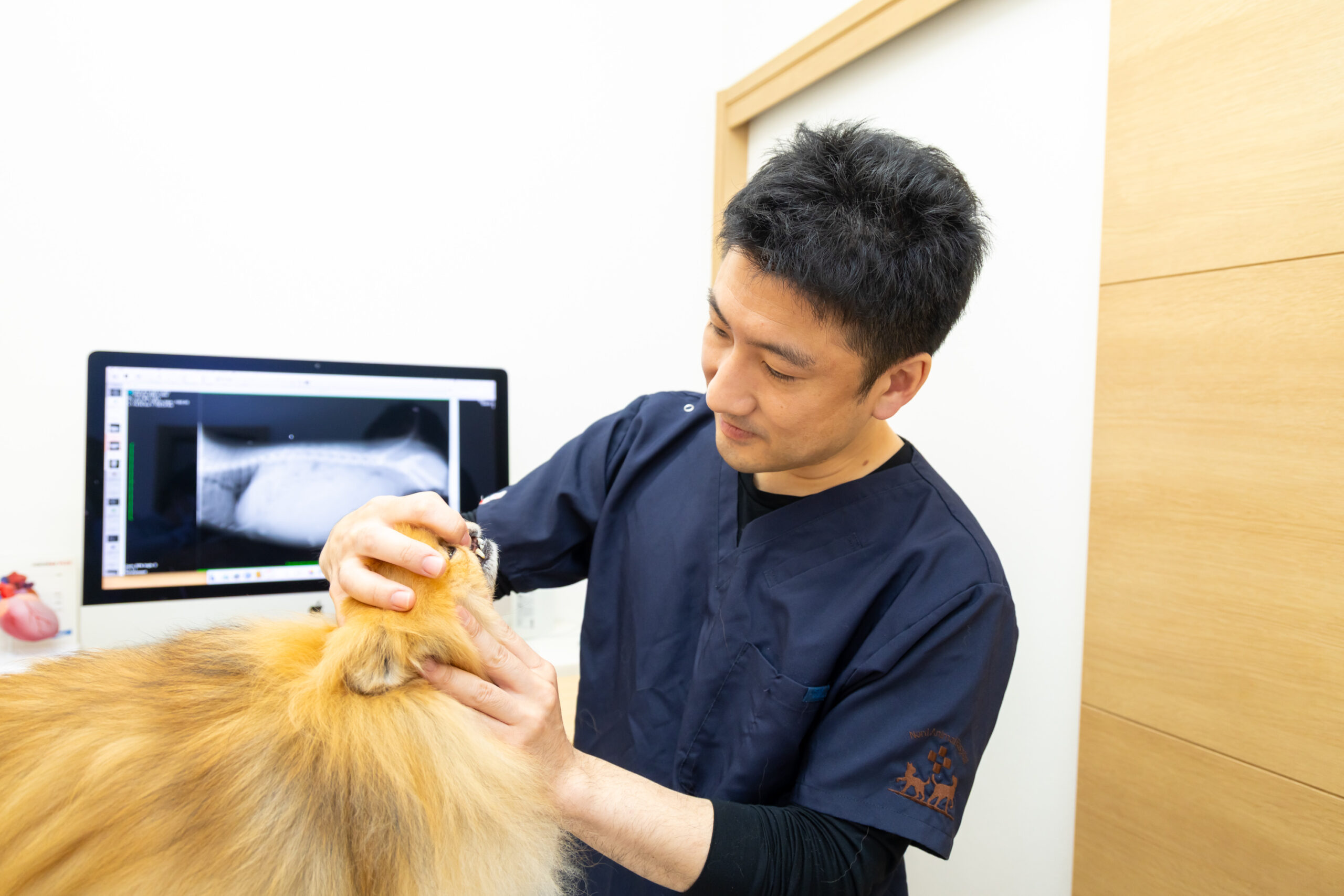 ノルド動物病院photo
