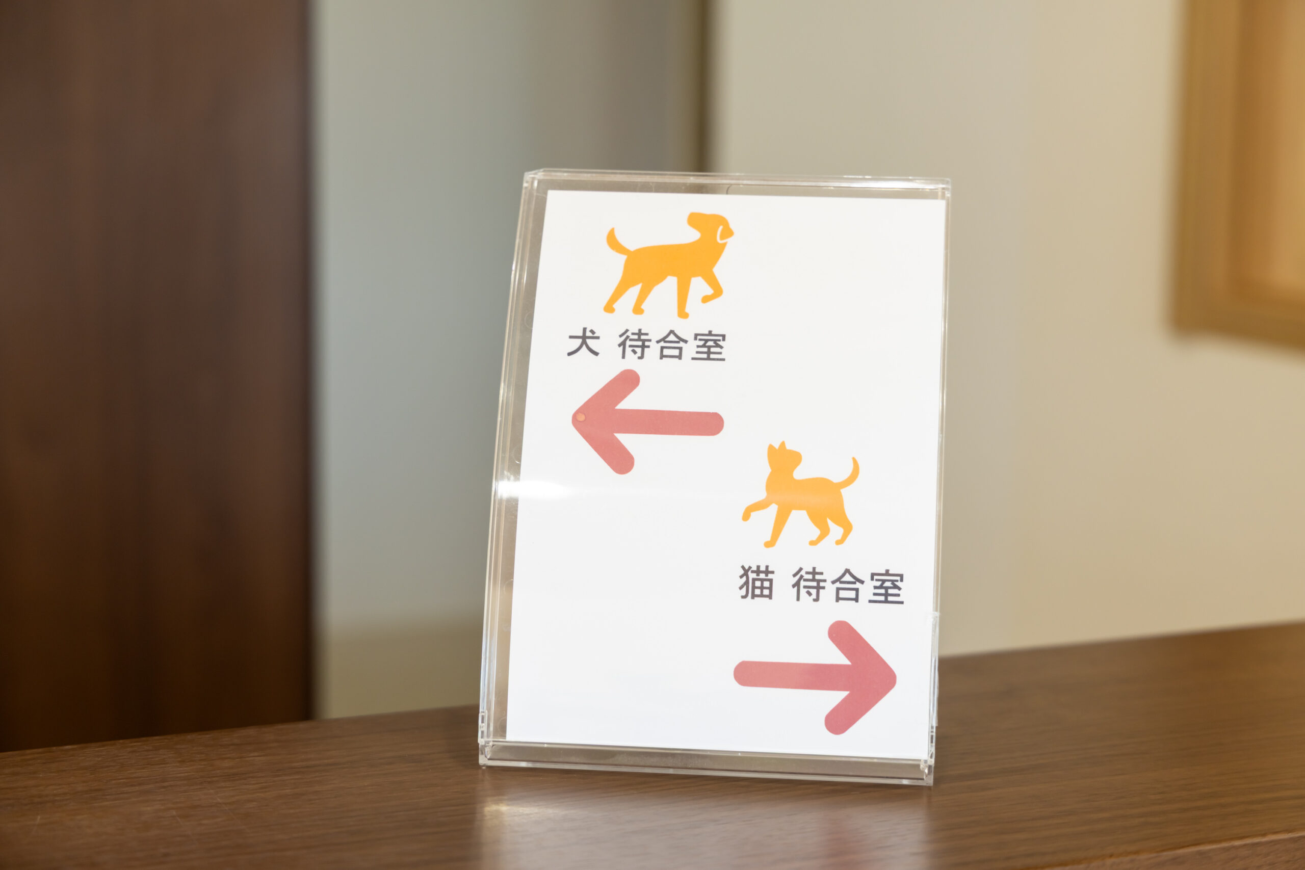 ノルド動物病院photo