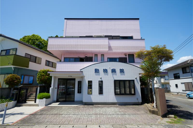 鴨川動物病院photo