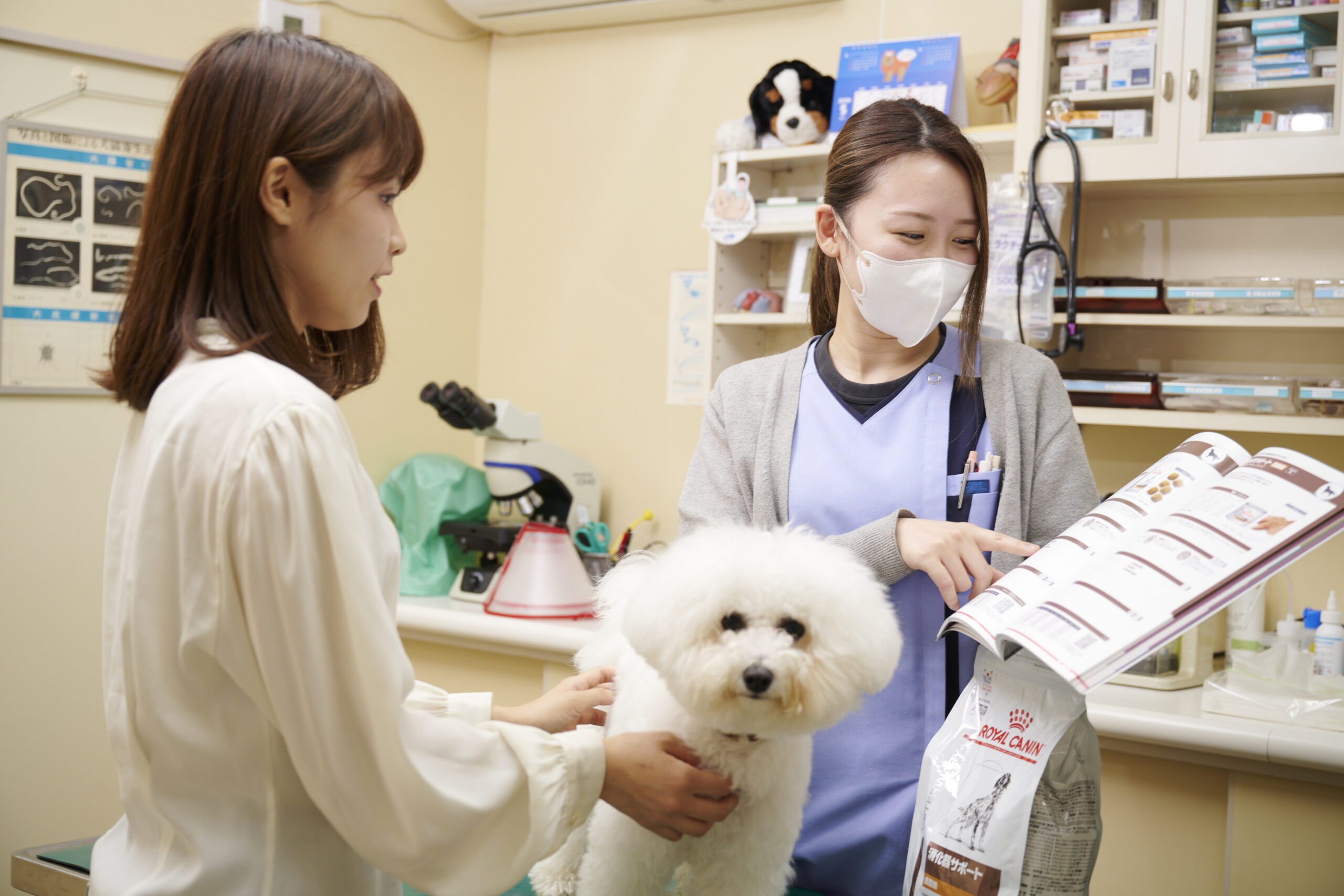 鴨川動物病院photo