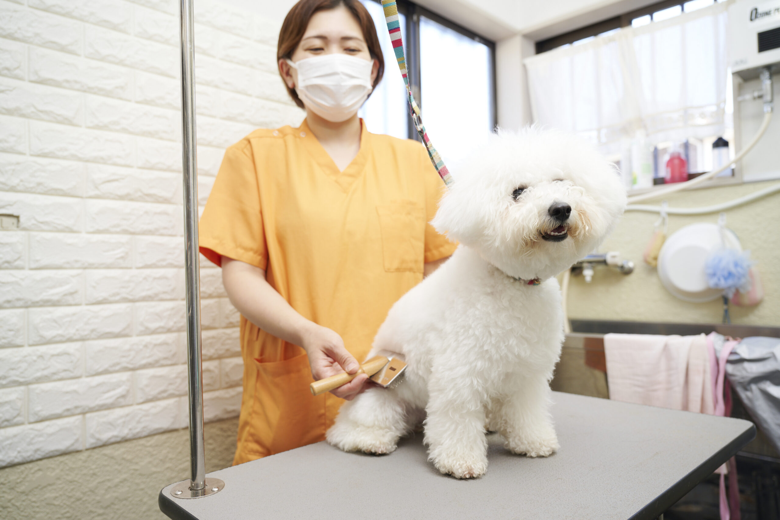 鴨川動物病院photo