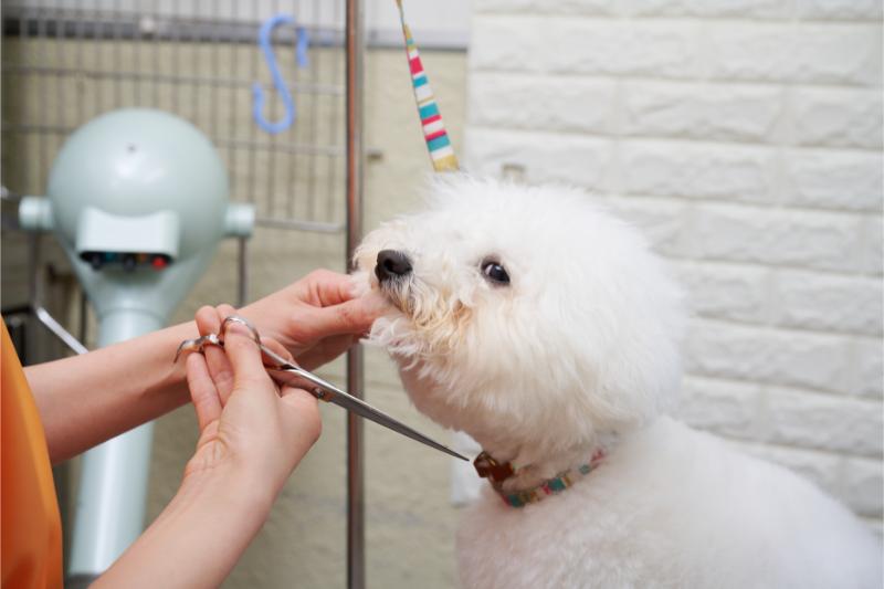 鴨川動物病院photo