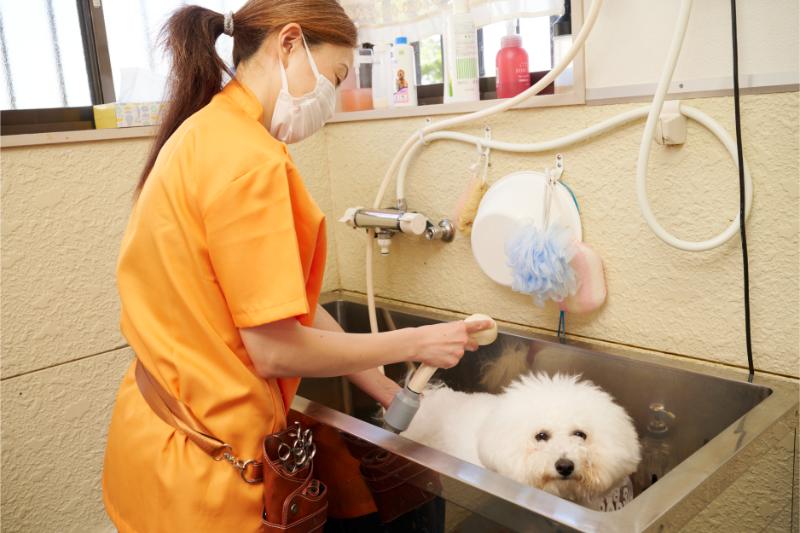 鴨川動物病院photo